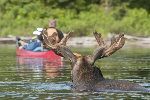 Algonquin Provincial Park