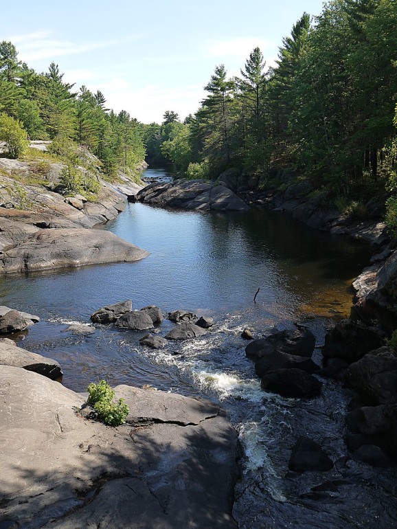 queen elizabeth wildlands provincial park