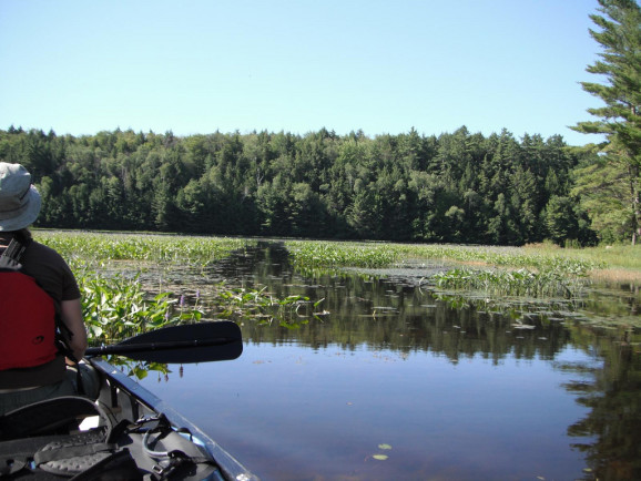 kawartha highlands provincial park