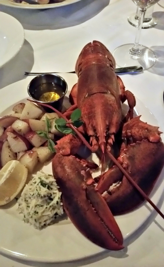 nova scotia lobster