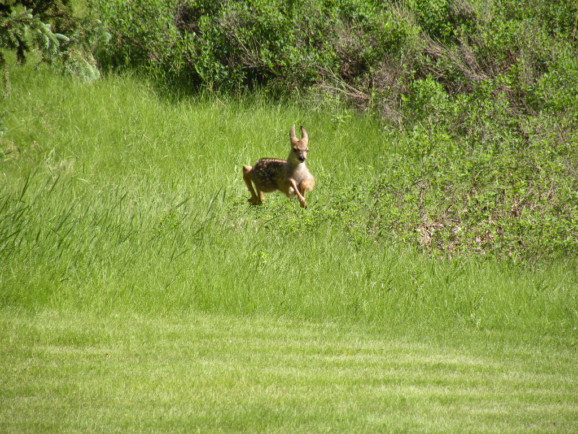 Fish Creek Provincial Park