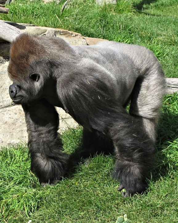 Calgary Zoo