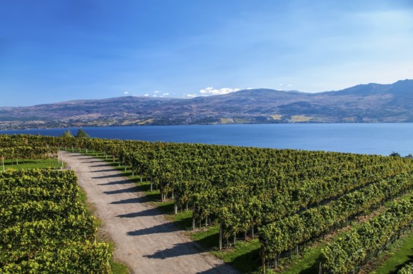 View from Mission Hill Winery of Lake Okanagan and the 