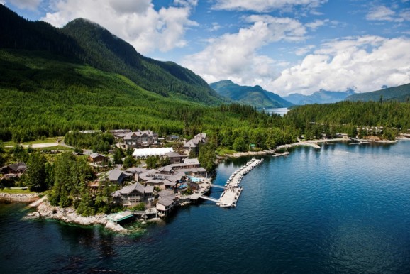 great bear rainforest