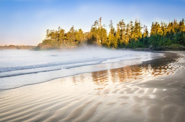 Tofino