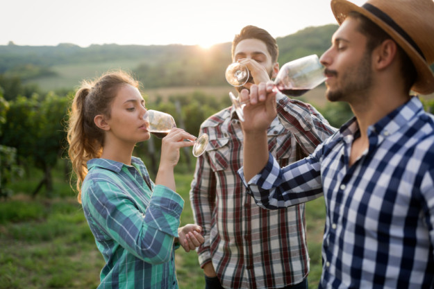 Friends drinking wine at a vineyard