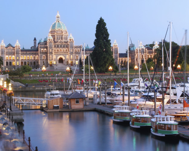 Victoria Town Hall lit up in lights