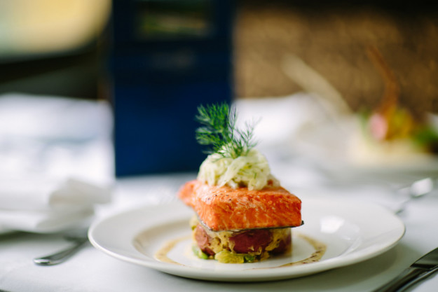 a gourmet salmon dish