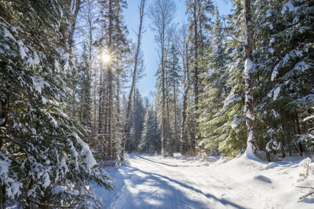 Snowy Algonquin provincial park