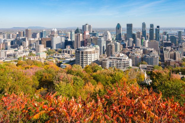 Mount Royal Park