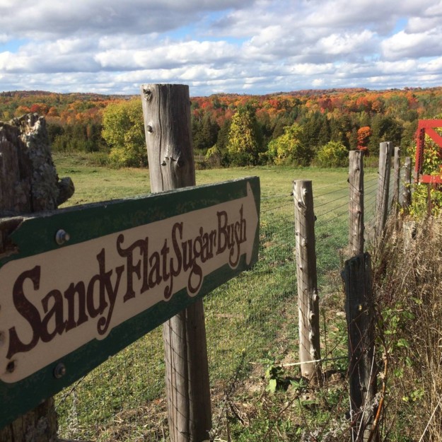Sandy Flat Sugar Bush