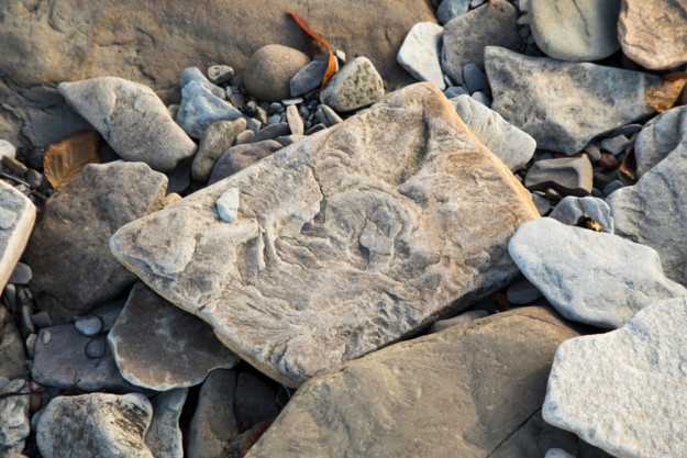 Joggins Fossil Cliffs