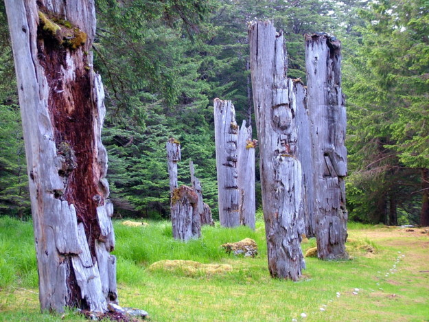 Ninstints in British Columbia