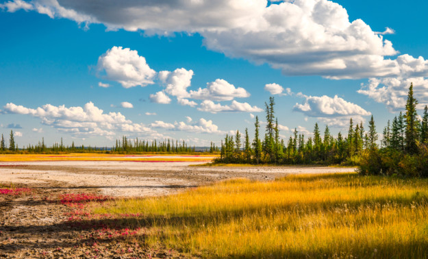Wood Buffalo National Park