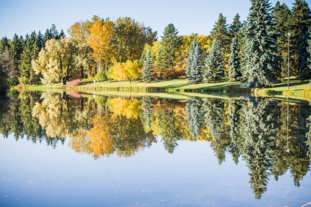 Edmonton Nature