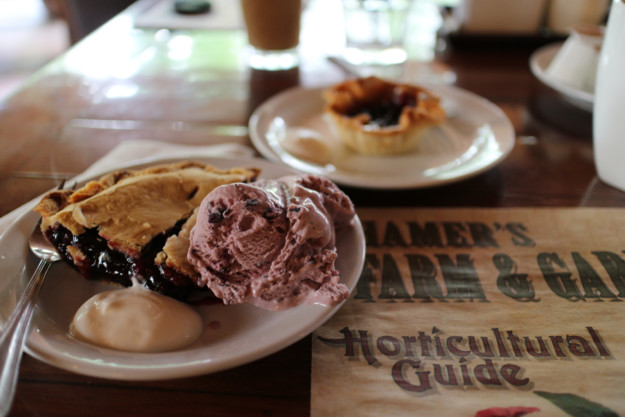 Saskatoon berry pie
