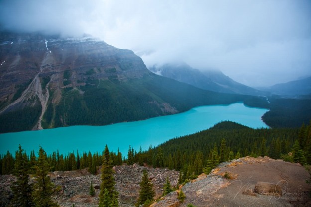 foggy-peyto-lake-classic-banff-photography - Mickey Shannon