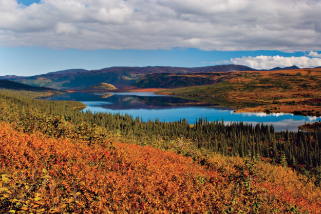 wonder lake, alaska
