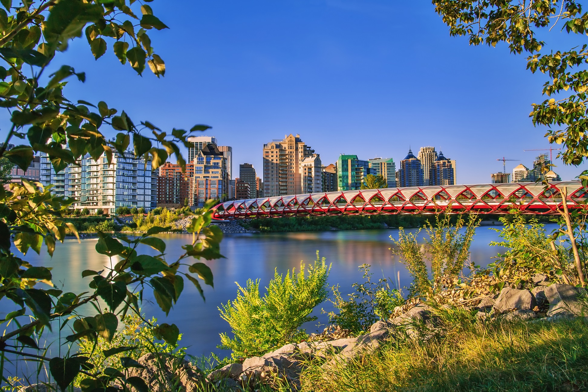 Calgary Skyline