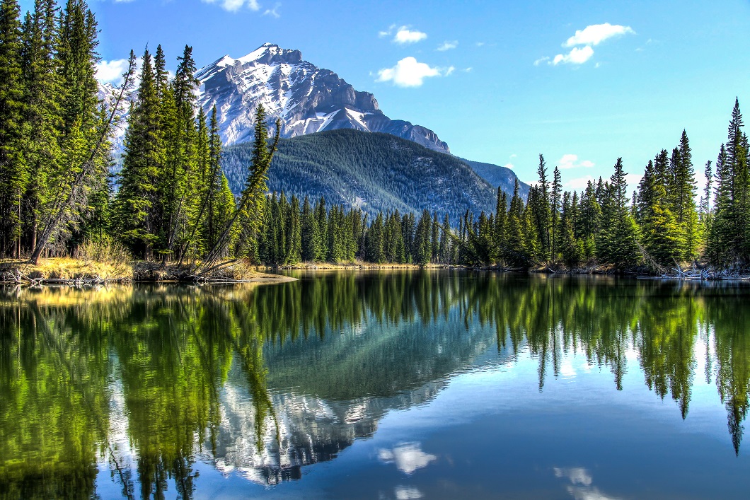 The Bow River