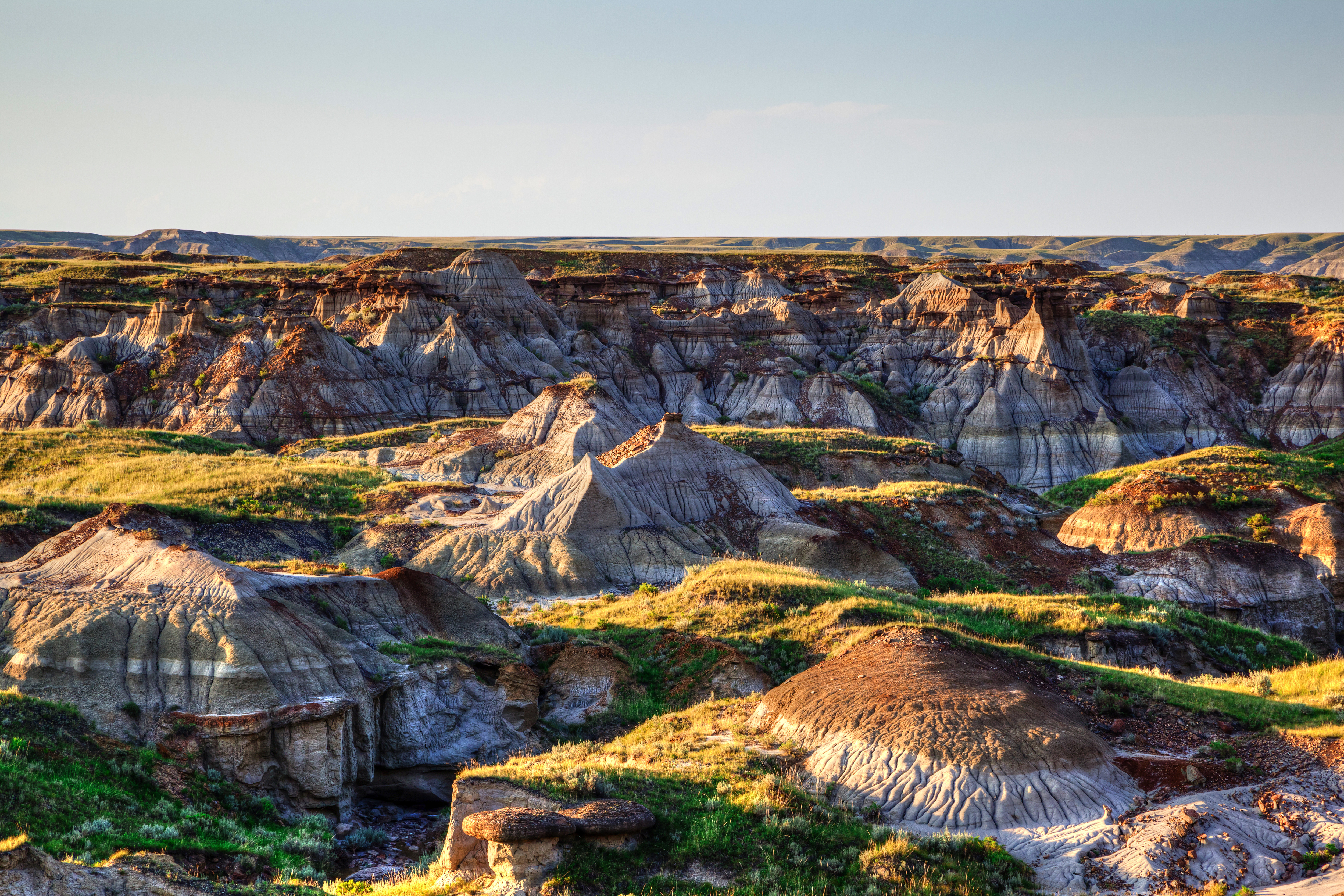 The Dinosaur Trail