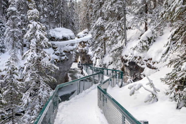 ice canyon in banff