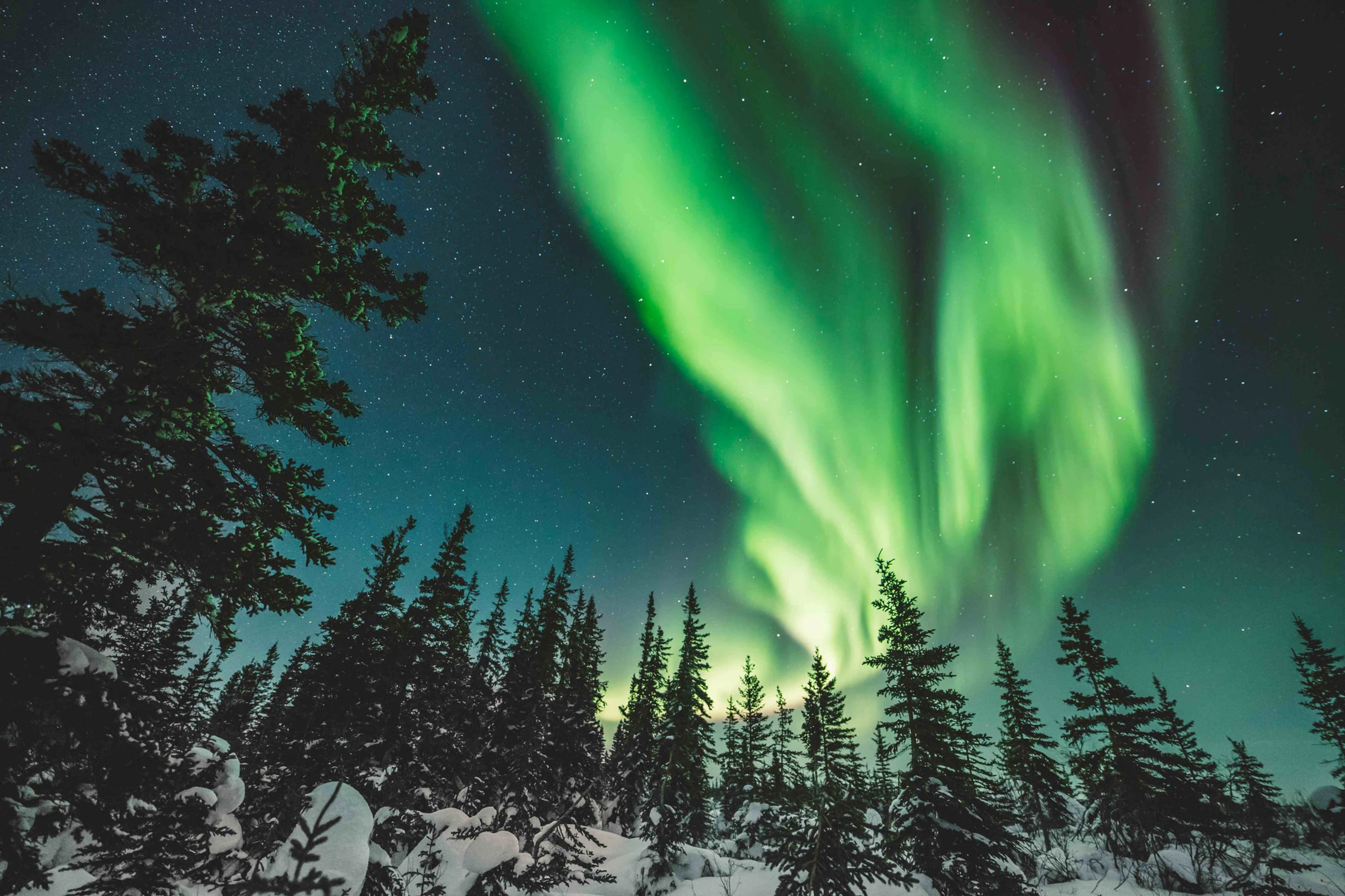 Aurora Borealis in Churchill