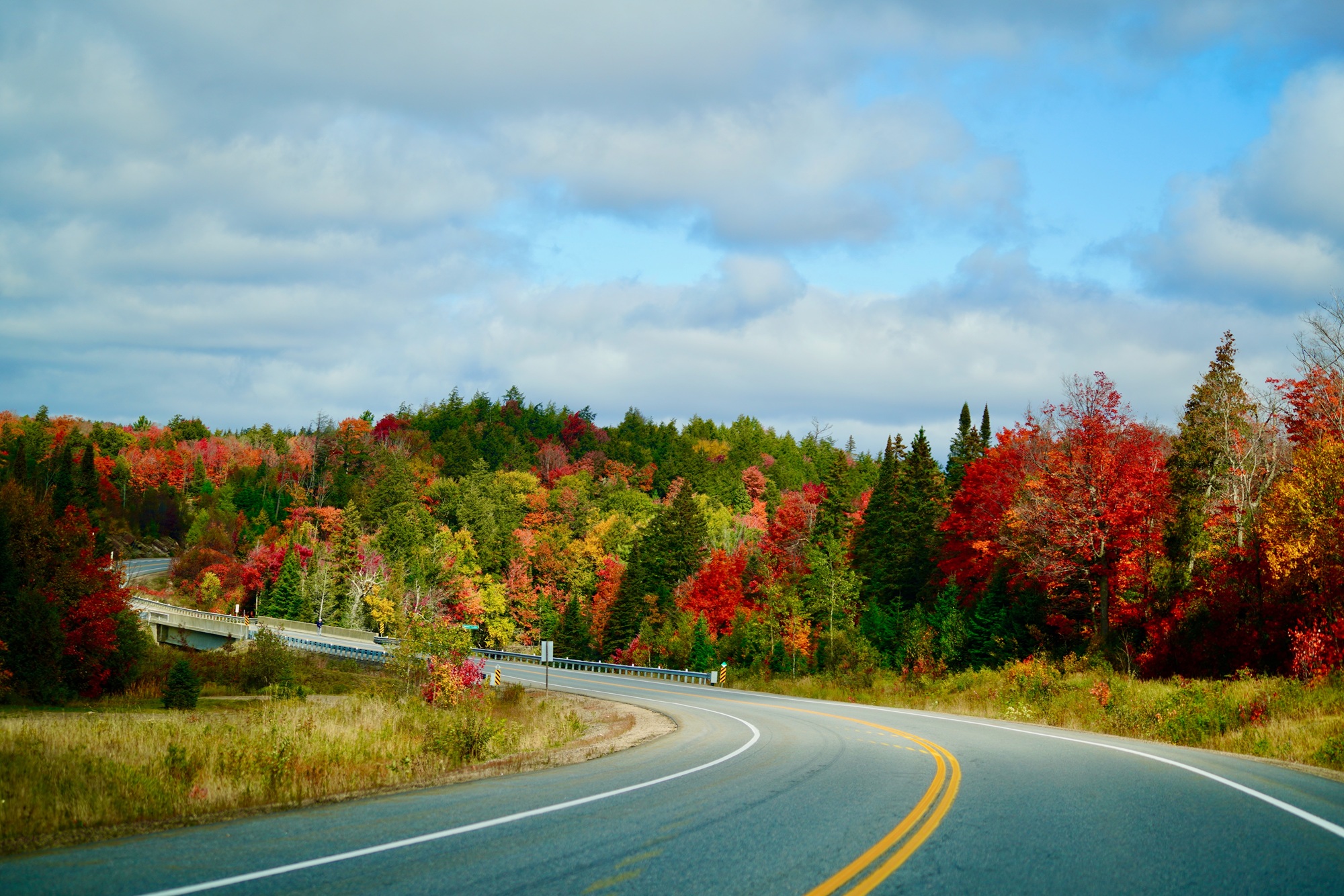 A highway in Muskoka, Ontario