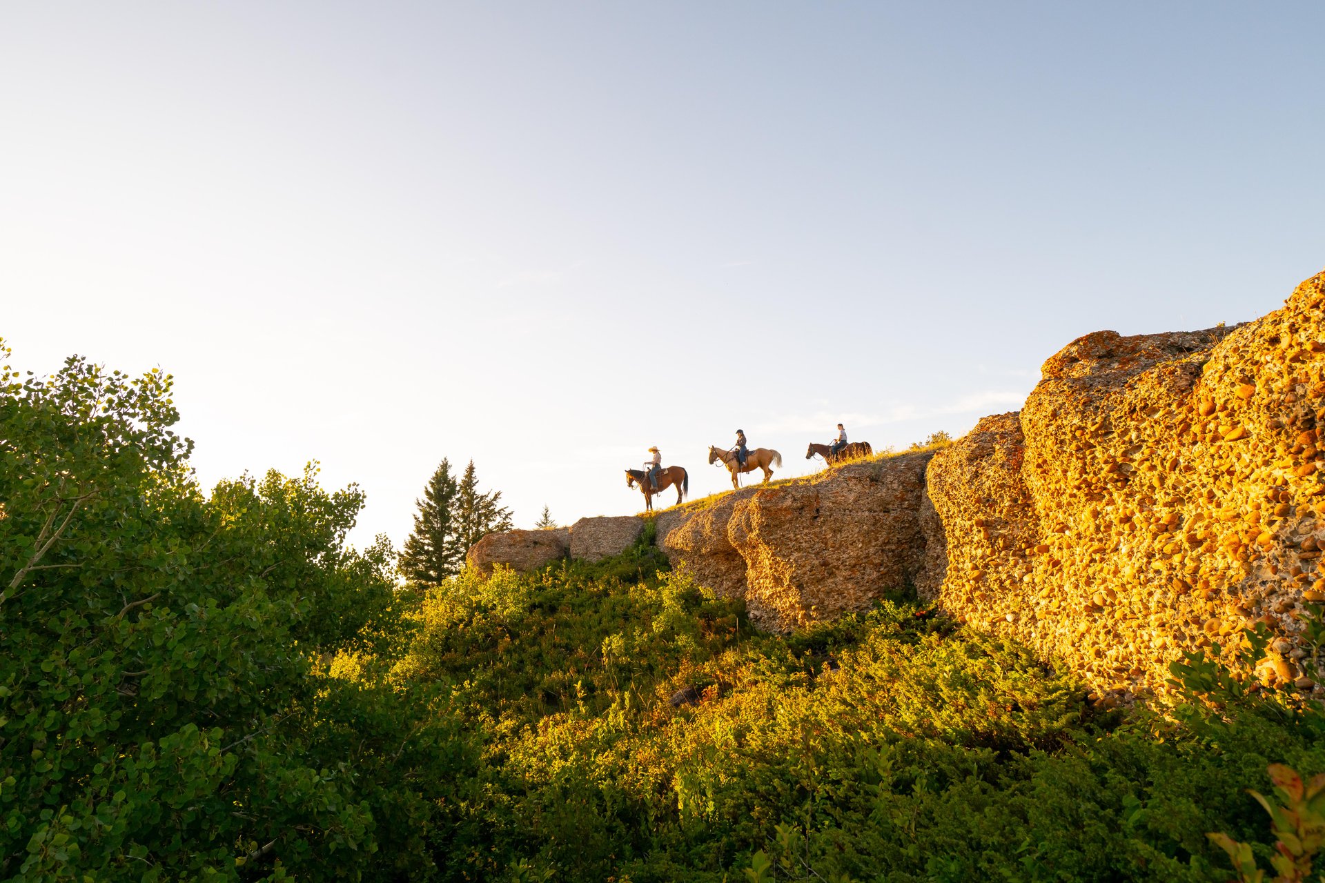 Three horses and their riders on top of cliffs in Cypress Hills International Park in Saskatchewan