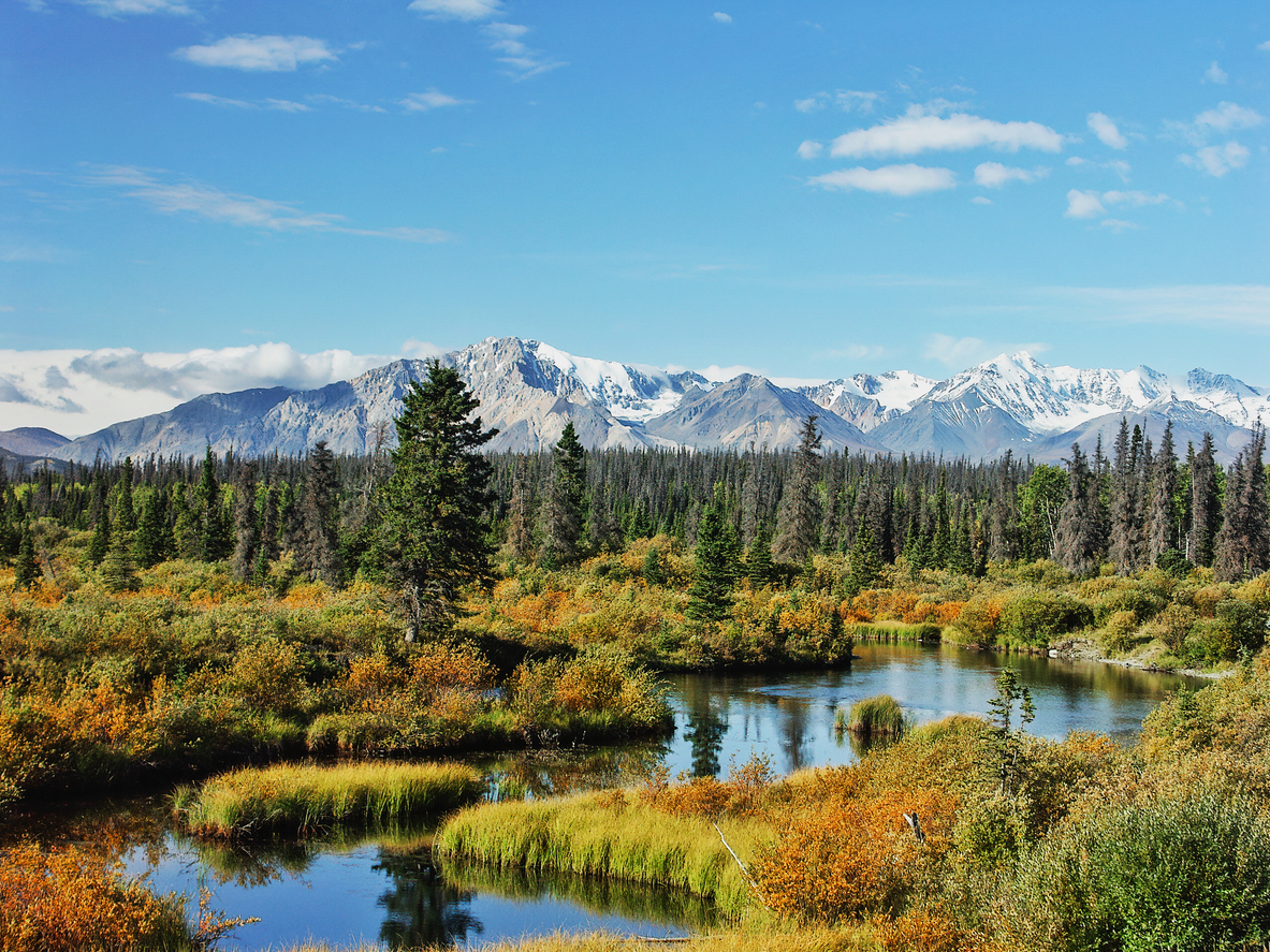 Scenic view of marshlands, pine trees and mountain ranges in Yukon's wilderness