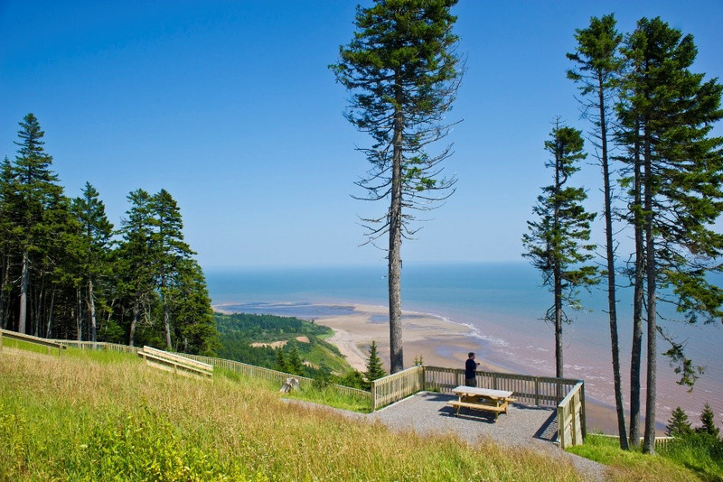 A person stands on a wooden viewing platform in one of the Atlantic Canada provinces, overlooking a coastal landscape with a sandy beach and tidal flats. Tall pine trees frame the scene under a clear blue sky.