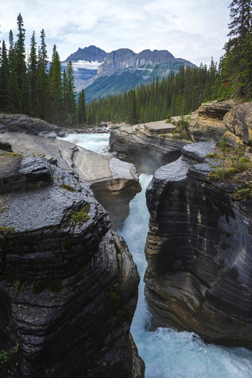 A vibrant image of a river flowing through a rugged, carved canyon surrounded by forested mountains under a cloudy sky along one of Canada's standout routes.