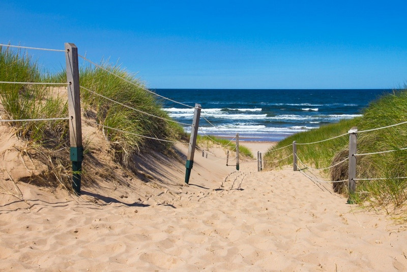 sand dune leads down towards the ocean